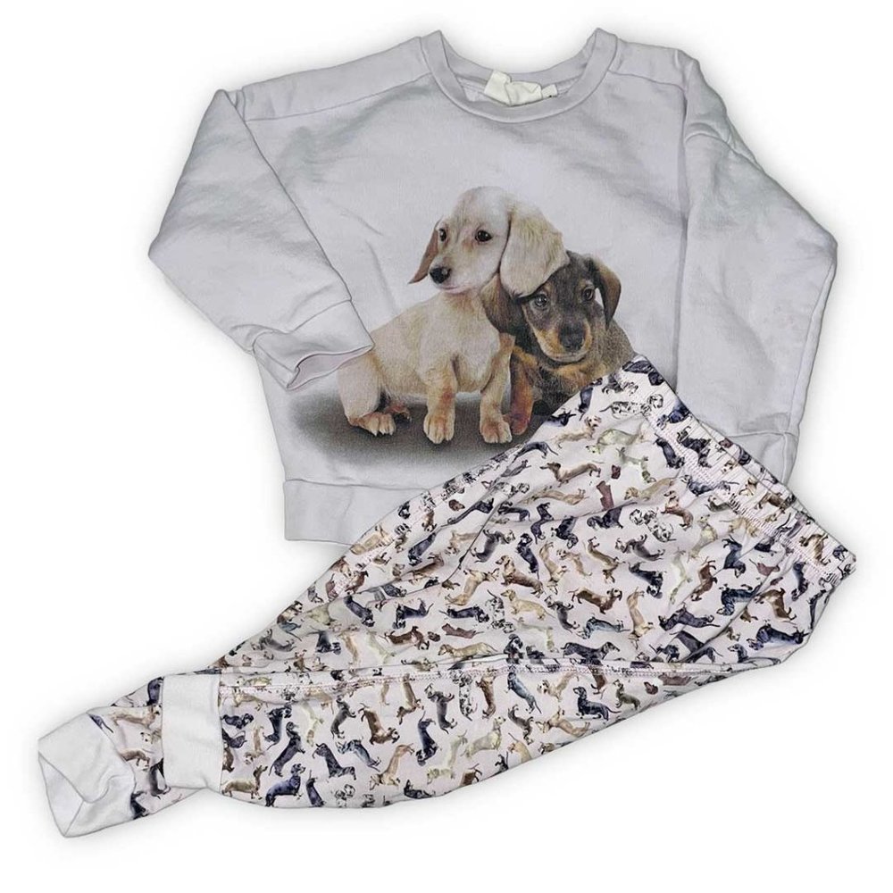 MOLO 2-piece SET - dog sweatshirt & leggings 12month